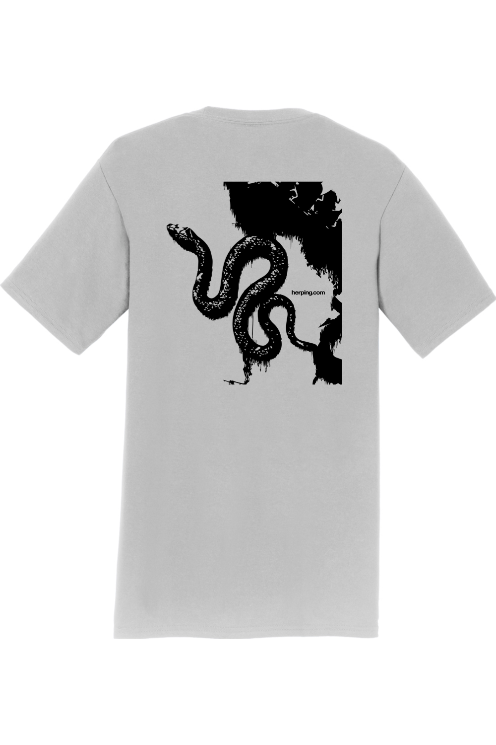 Black Snake Graphic Tee