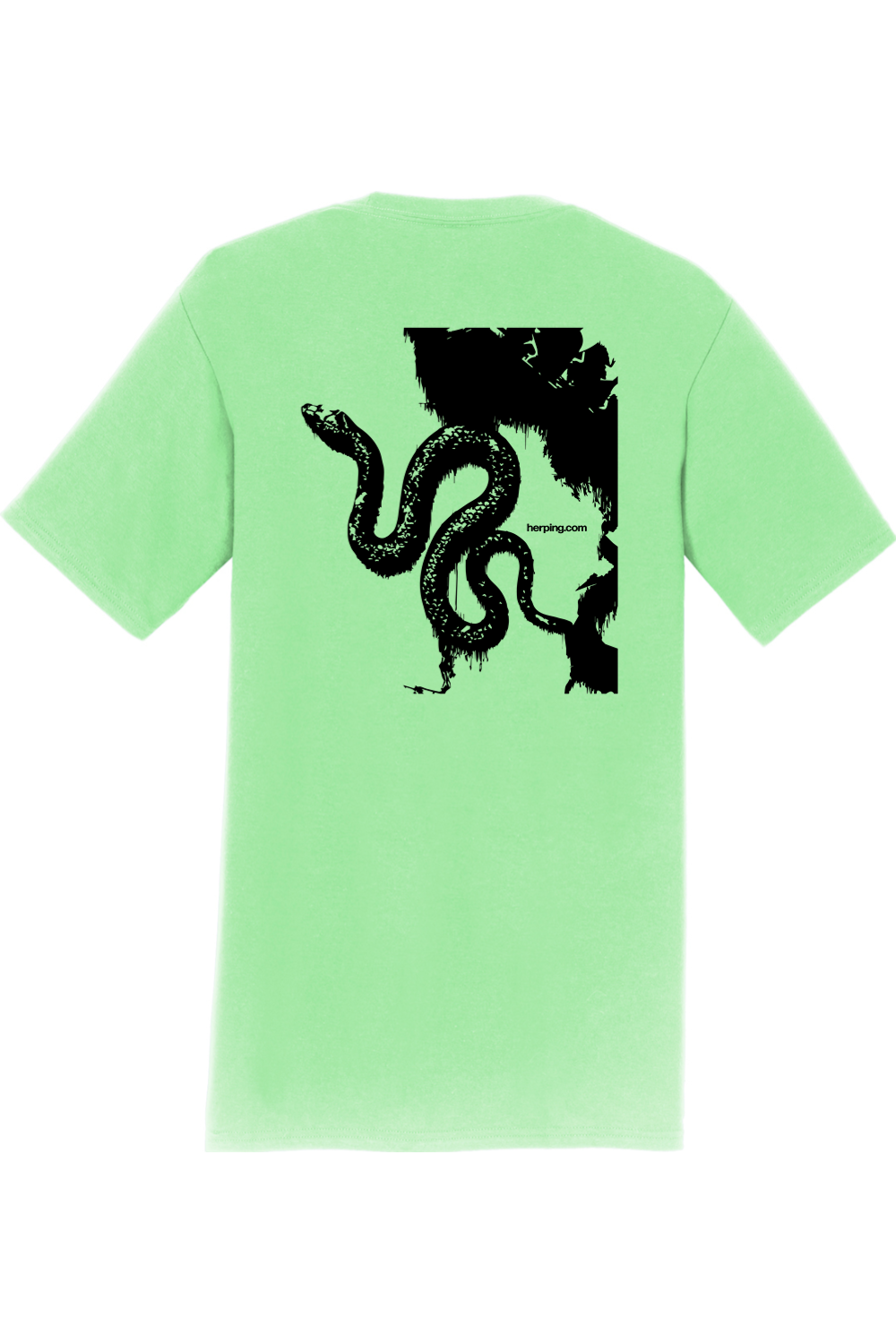 Black Snake Graphic Tee