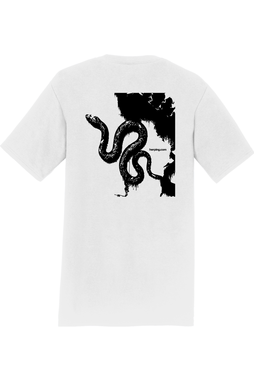 Black Snake Graphic Tee